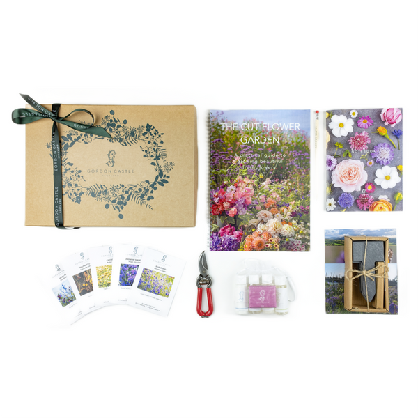 Grow Your Own Cut Flowers Box