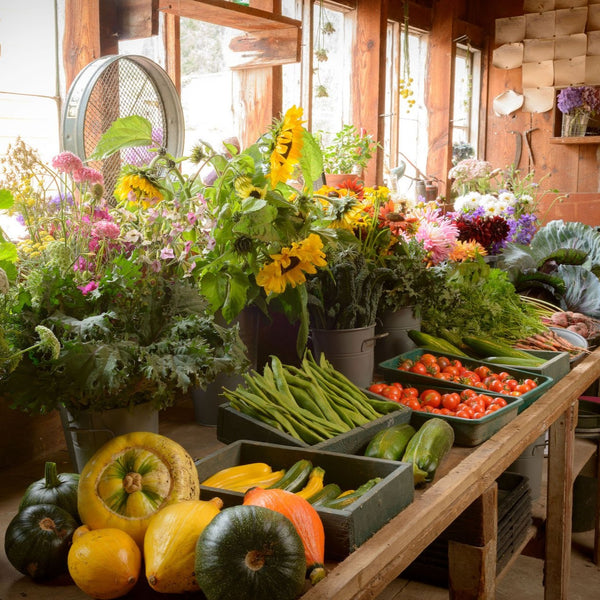 Grow Your Own Vegetable Garden Box