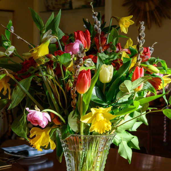 Mother's Day Bouquet of Seasonal Flowers & Foliage - COLLECTION OR LOCAL DELIVERY ONLY