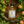 Gordon Castle Apple Aperitif 50cl