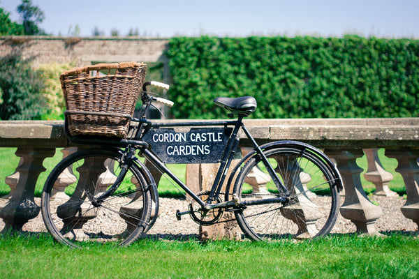 Walled Garden Signature Bicycle Mug