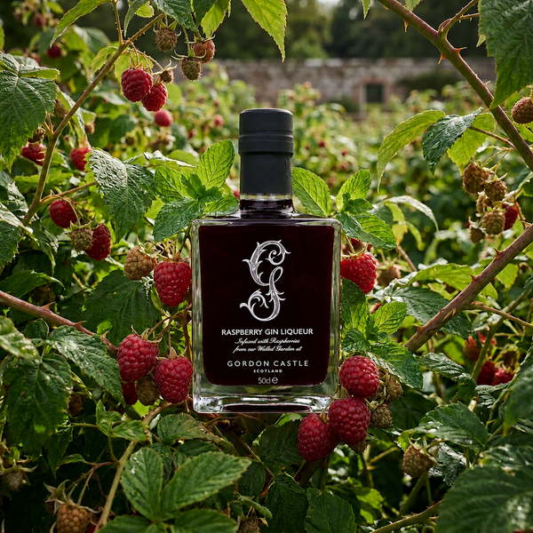Raspberry Gin Liqueur - UK only