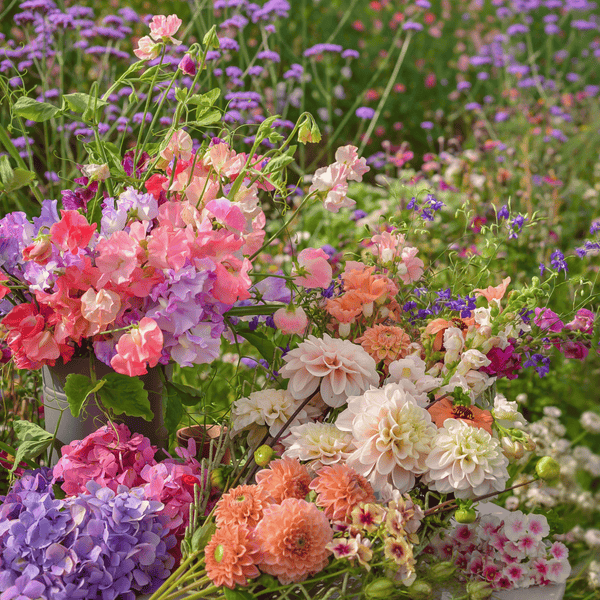 How To Grow Your Own Cut Flower Garden - 18th April