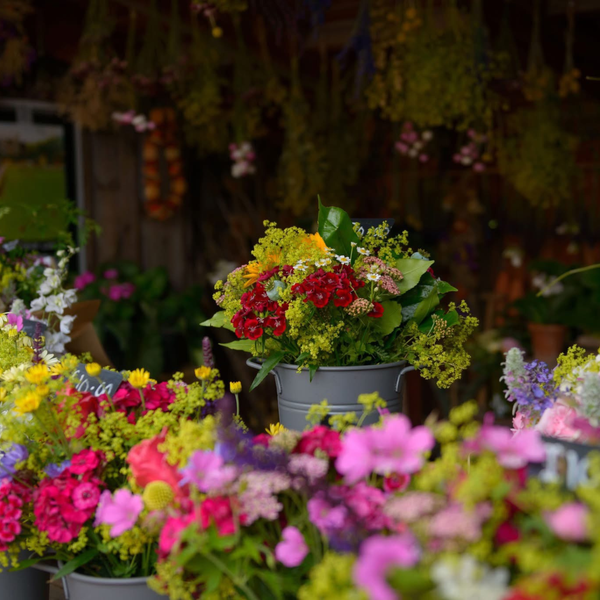 Flower Arranging: How To Make The Most Of Your Flowers - 11th July