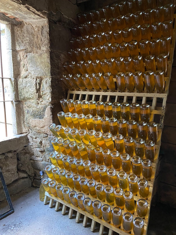 Gordon Castle Méthode Champenoise Cider Duo