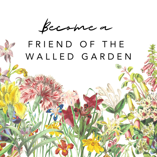 Friends of The Walled Garden Card