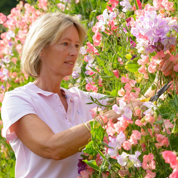 Grow Your Own Cut Flower Course (online)