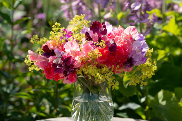 Gordon Castle Walled Garden Flower Subscription