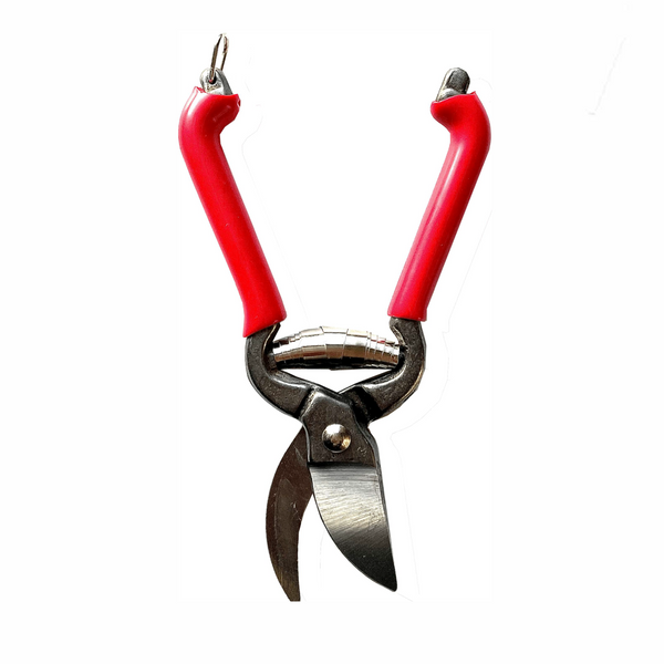 Red Mini Pruners