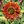 Load image into Gallery viewer, Golden Peat Cut Flower Seed Collection
