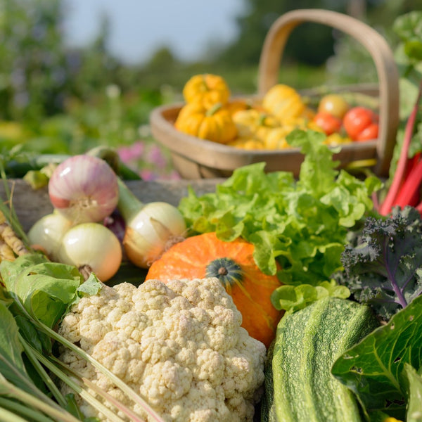 Grow Your Own Vegetable Garden Course (online)