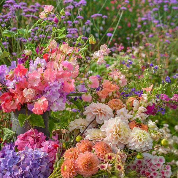 Grow Your Own Cut Flower Course (online)